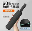 Automatic Sun & Rain Umbrella view 3