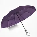 3122 10-Rib Fully Automatic Umbrella view 4