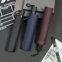 10-Rib Manual Reverse Folding Umbrella view 3