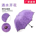 Rain-Reactive Print Umbrella view 3