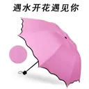 Rain-Reactive Print Umbrella view 4