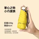 Lightweight Flat Five-Fold Umbrella view 2