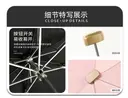 Lightweight Flat Five-Fold Umbrella view 3