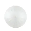 16-Rib Automatic Straight Umbrella view 4