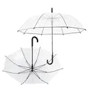 Colorful Transparent Straight Umbrella view 2